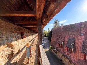 Rothenburg Ob Der Tauber Cosa Vedere In Un Giorno Viaggiapiccoli