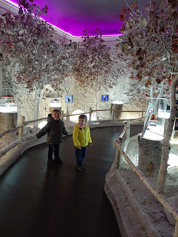 bambini al museo della magia a Cherasco 1