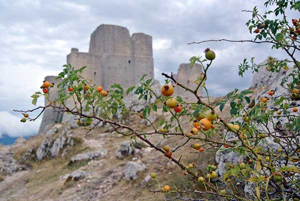 Vacanza In Abruzzo Con I Bambini: Tra Natura E Cultura - Viaggiapiccoli