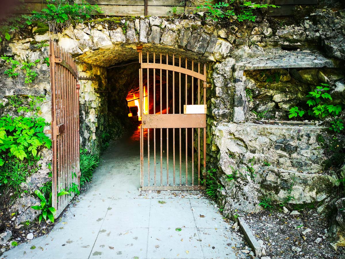 Museo Fossili Bolca Veneto