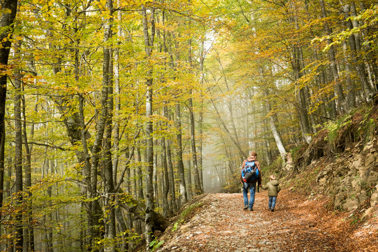 Papà e figlio camminano nella faggeta in autunno