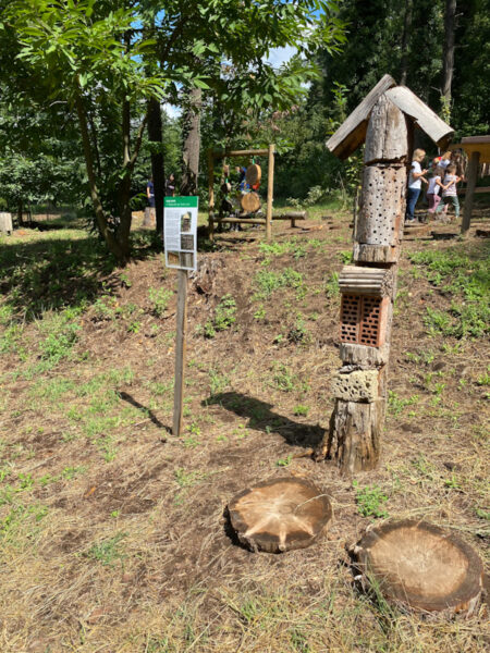 bug hotel