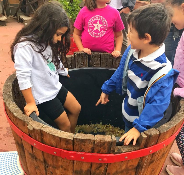 vendemmia roma bambini