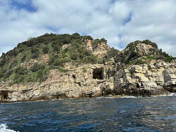 Escursione all'Isola della Gallinara con Bio Snorkeling ad Alassio ...