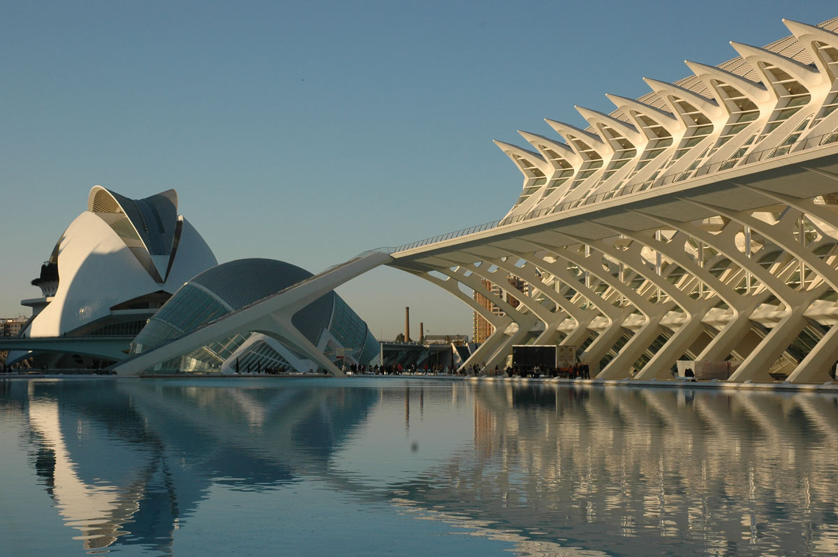 Vista della città della scienza a Valencia