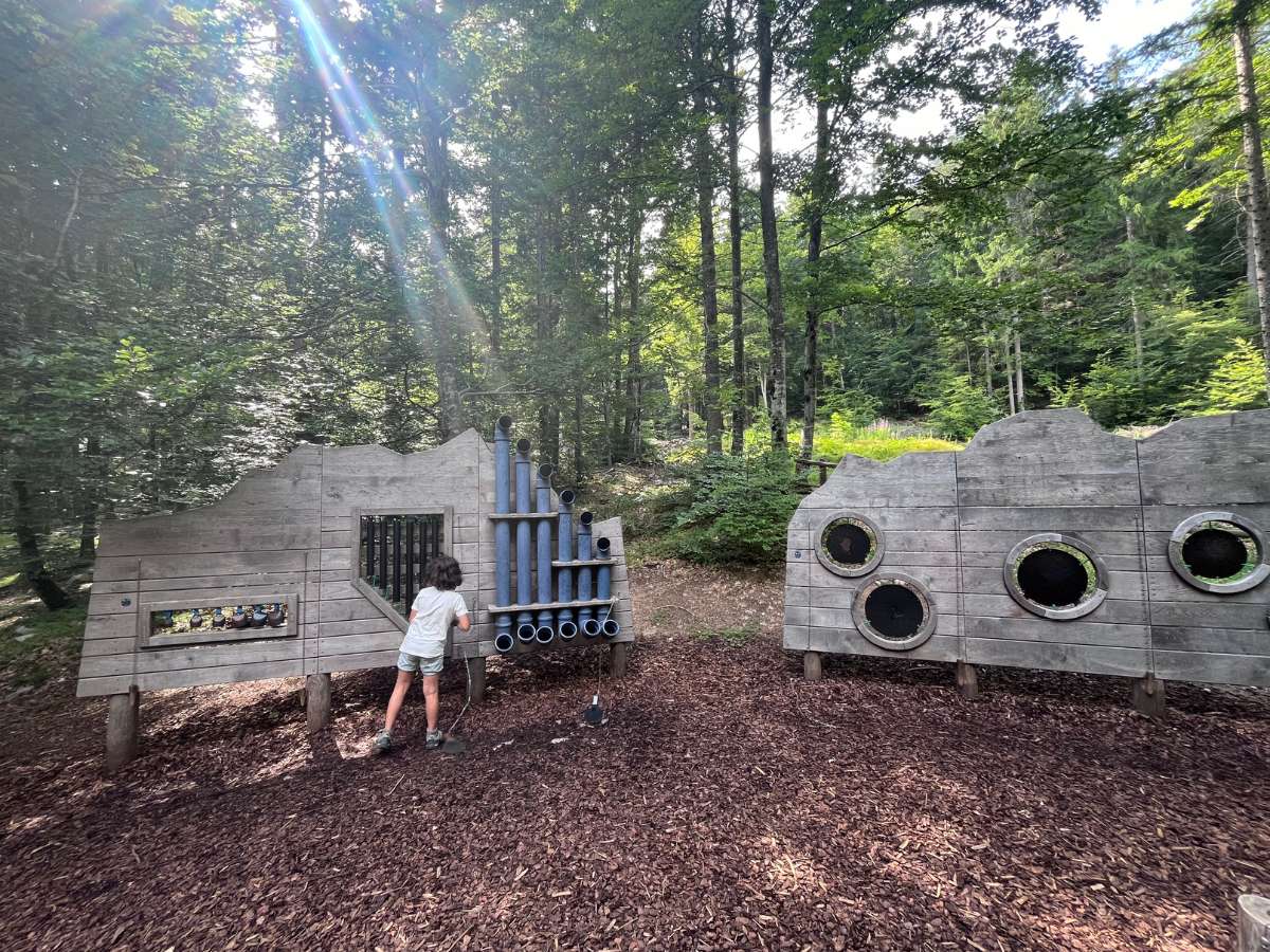 bambina suona strumenti musicali nel bosco