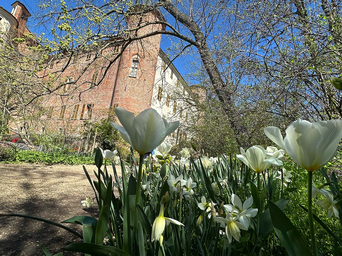 Castello pralorno tulipani