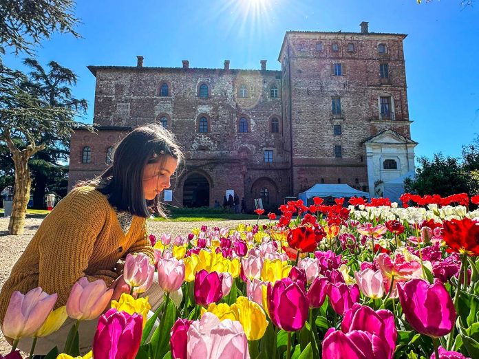 Ragazzina odora i tulipani a Messer Tulipano