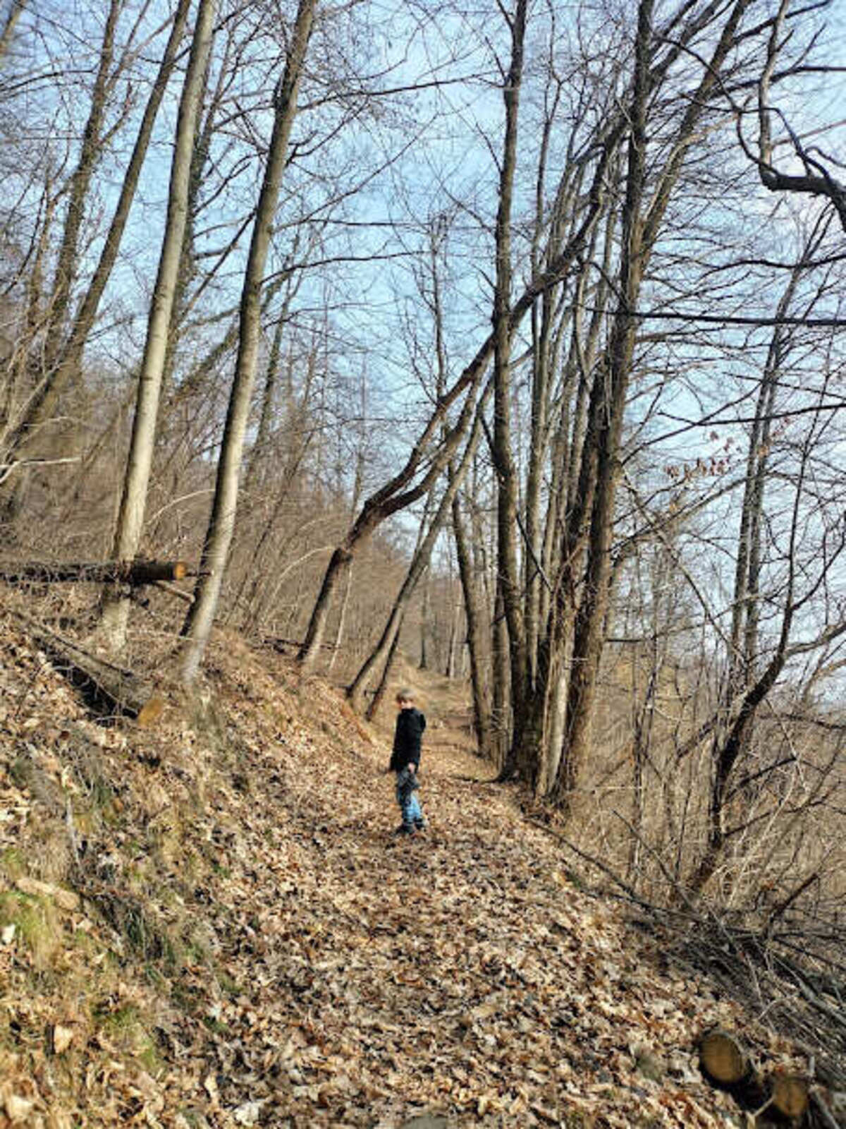 bosco passeggiata monte s valli di lanzoperone